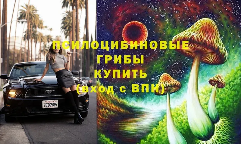 Псилоцибиновые грибы Magic Shrooms  Кинешма 